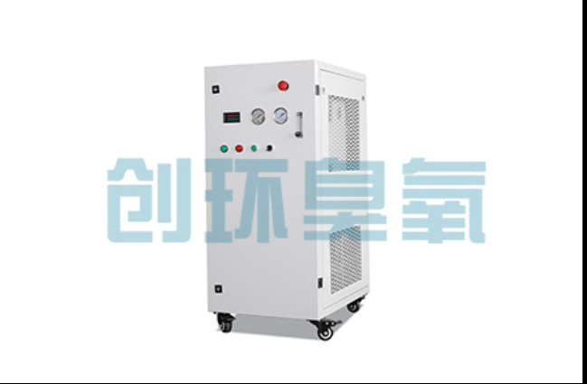 武隆工厂化养鲈必看:2026年臭氧发生器替代传统消毒的最新方案