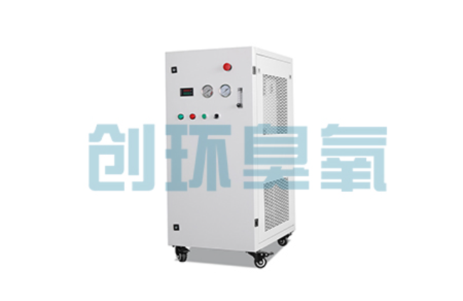 武隆比传统换水更高效？臭氧发生器在石斑鱼养殖中的水质净化原理解析